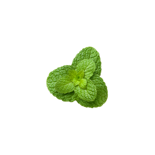 Peppermint Extract