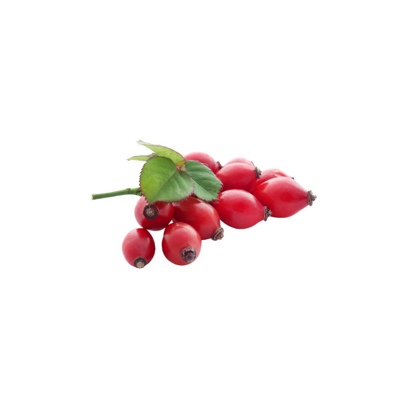 Rosehip Extract