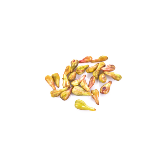 Grapeseed Extract