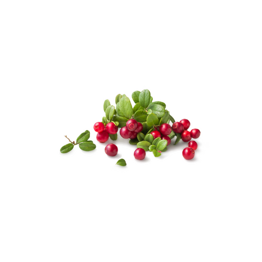 Bearberry Extract