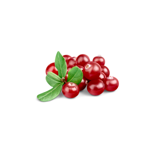Arctic Cranberry Extract