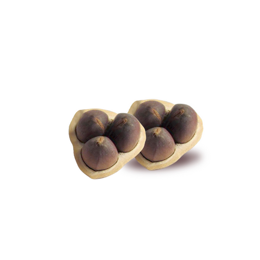 Cacay Extract
